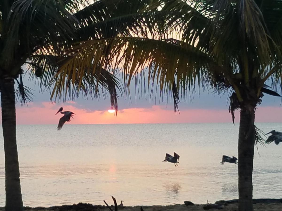Pal'S On The Beach - Dangriga, Belize Luaran gambar