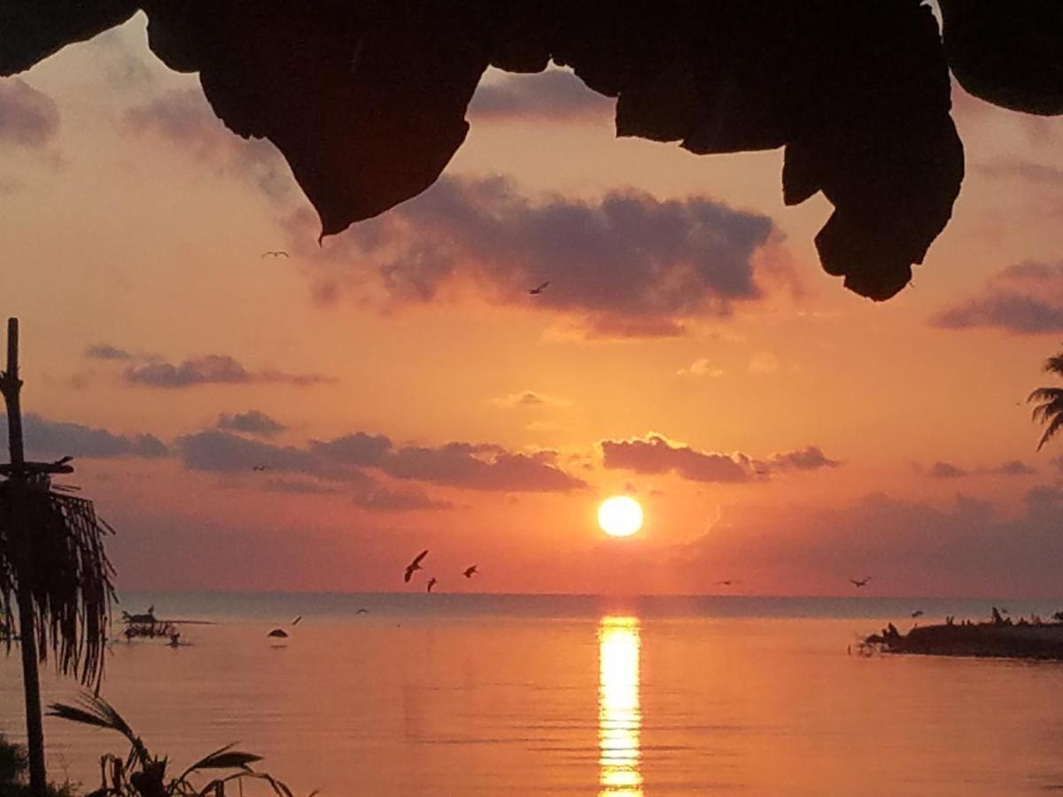 Pal'S On The Beach - Dangriga, Belize Luaran gambar