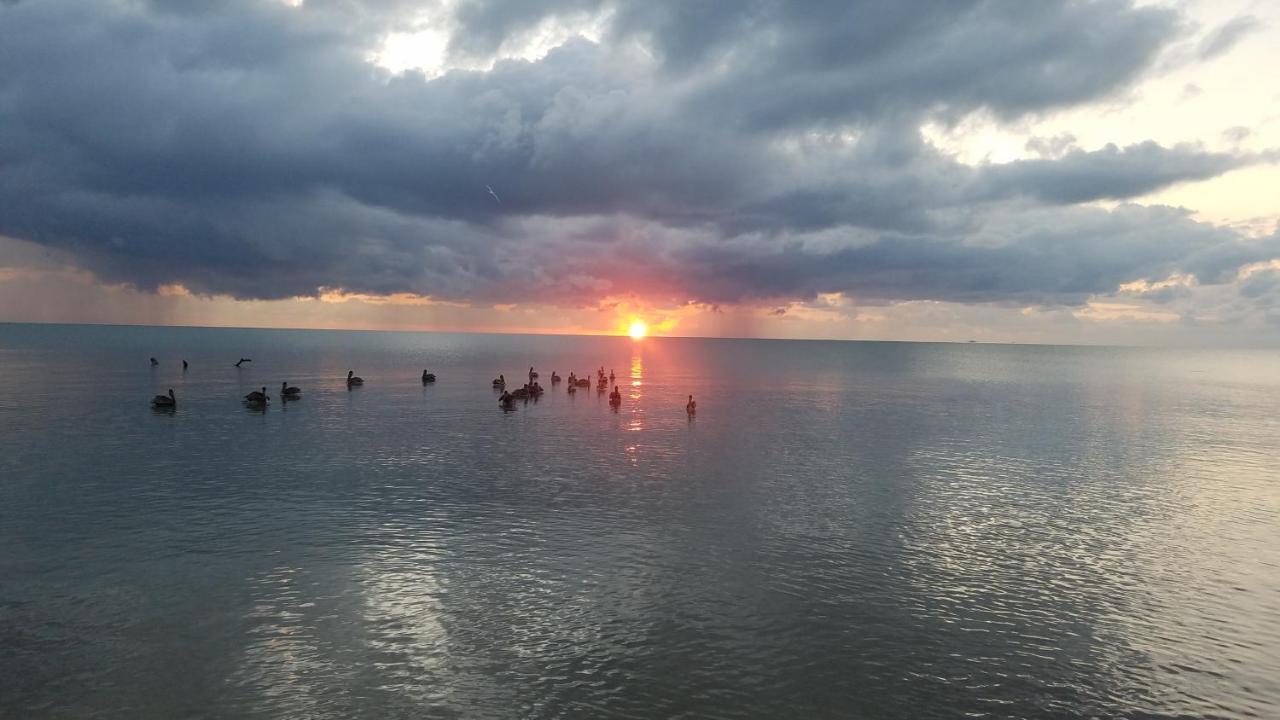 Pal'S On The Beach - Dangriga, Belize Luaran gambar