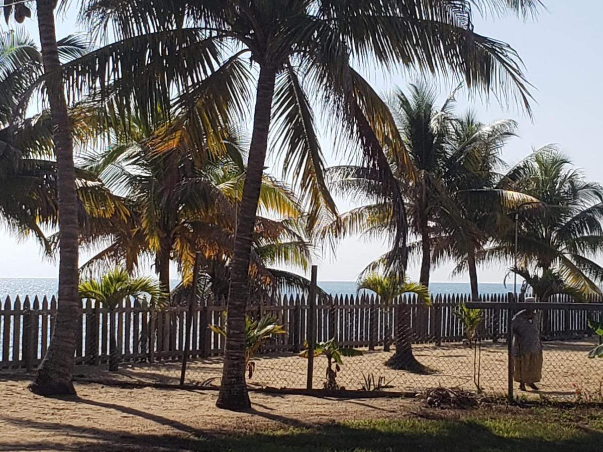 Pal'S On The Beach - Dangriga, Belize Luaran gambar